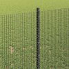 Plot s sloupkem Šedá 1 x 50 m Ocel a PVC 3336632