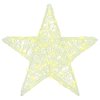 3D hvězda s 50 LED diodami Teplá bílá 55 x 53.5 x 10 cm Akryl 42019098