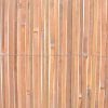 Bambusové ploty 2 ks 100 x 400 cm 3057515