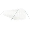 Skleník s ocelovým rámem bílý 24 m² 12 x 2 x 2 m 3188032