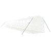 Skleník s ocelovým rámem bílý 32 m² 16 x 2 x 2 m 3188034