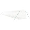 Skleník s ocelovým rámem bílý 40 m² 20 x 2 x 2 m 3188036