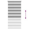 Roleta den a noc / Zebra / Twinroll 60x120 cm šedá 240191