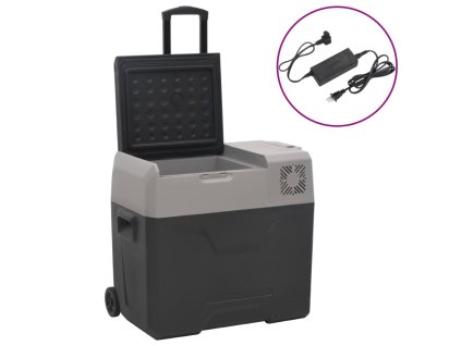 Chladiaci box s kolieskom a adaptérom čierno-sivý 50 l PP 3154637