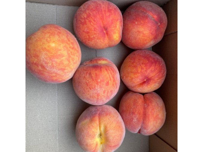 Prunus persica 'Redhaven' - broskvoň