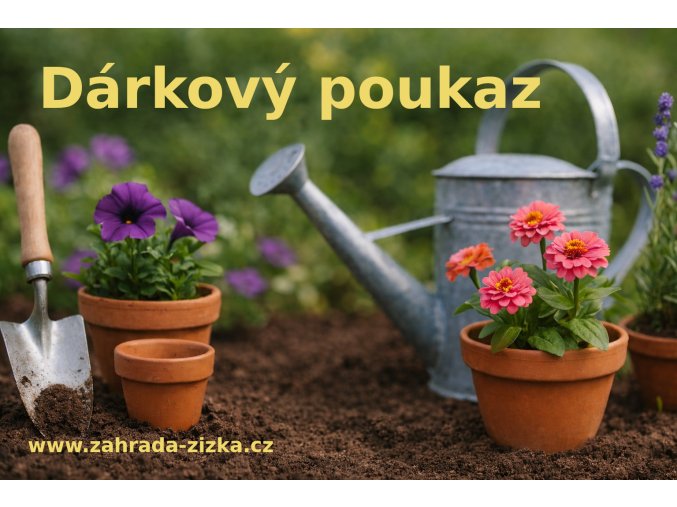 darkovy poukaz 2026 N