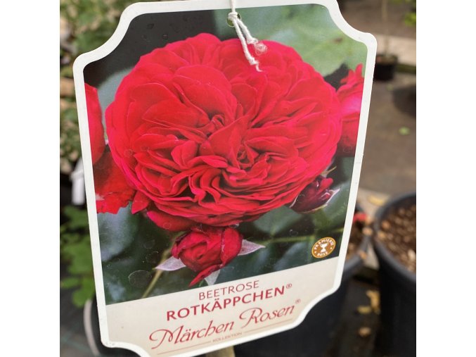 0080E3BE A50F 4DA8 8C5E 984030DC64D8