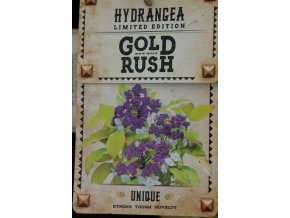 Hydrangea aspera 'Goldrush' - hortenzie drsná