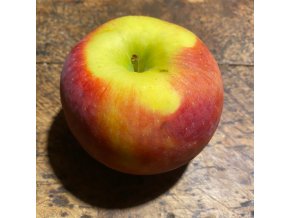 Malus domestica 'Admirál' - jabloň zimní