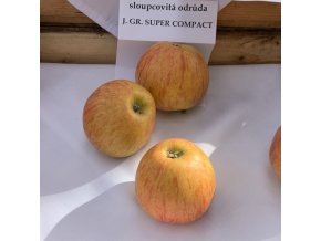 Malus domestica 'JAMES GRIEVE Super Compact ' - jabloň PODZIMNÍ