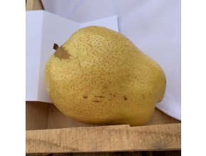 Pyrus Early