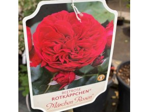 0080E3BE A50F 4DA8 8C5E 984030DC64D8