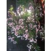 e198c985 e9aa 4cb7 8cd8 c2cb769da701