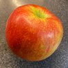 Malus domestica 'Jonagold' - jabloň zimní