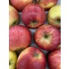 Malus domestica 'RUBÍN' - jabloň ZIMNÍ
