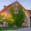 Parthenocissus tricuspidata 'Veitchii' - přísavník trojcípý