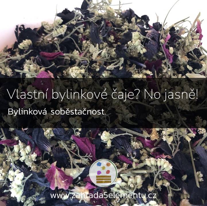 Samosběr bylinek