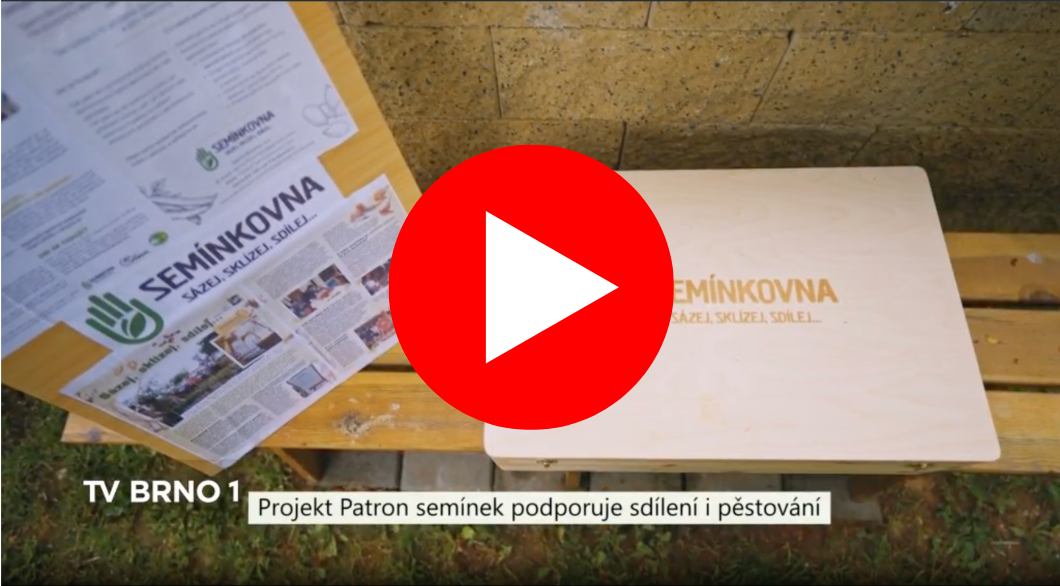 video_patron