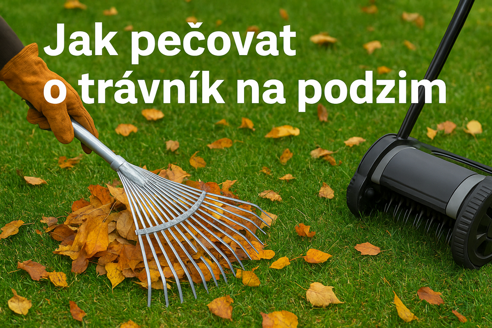 Jak se starat o trávník na podzim?