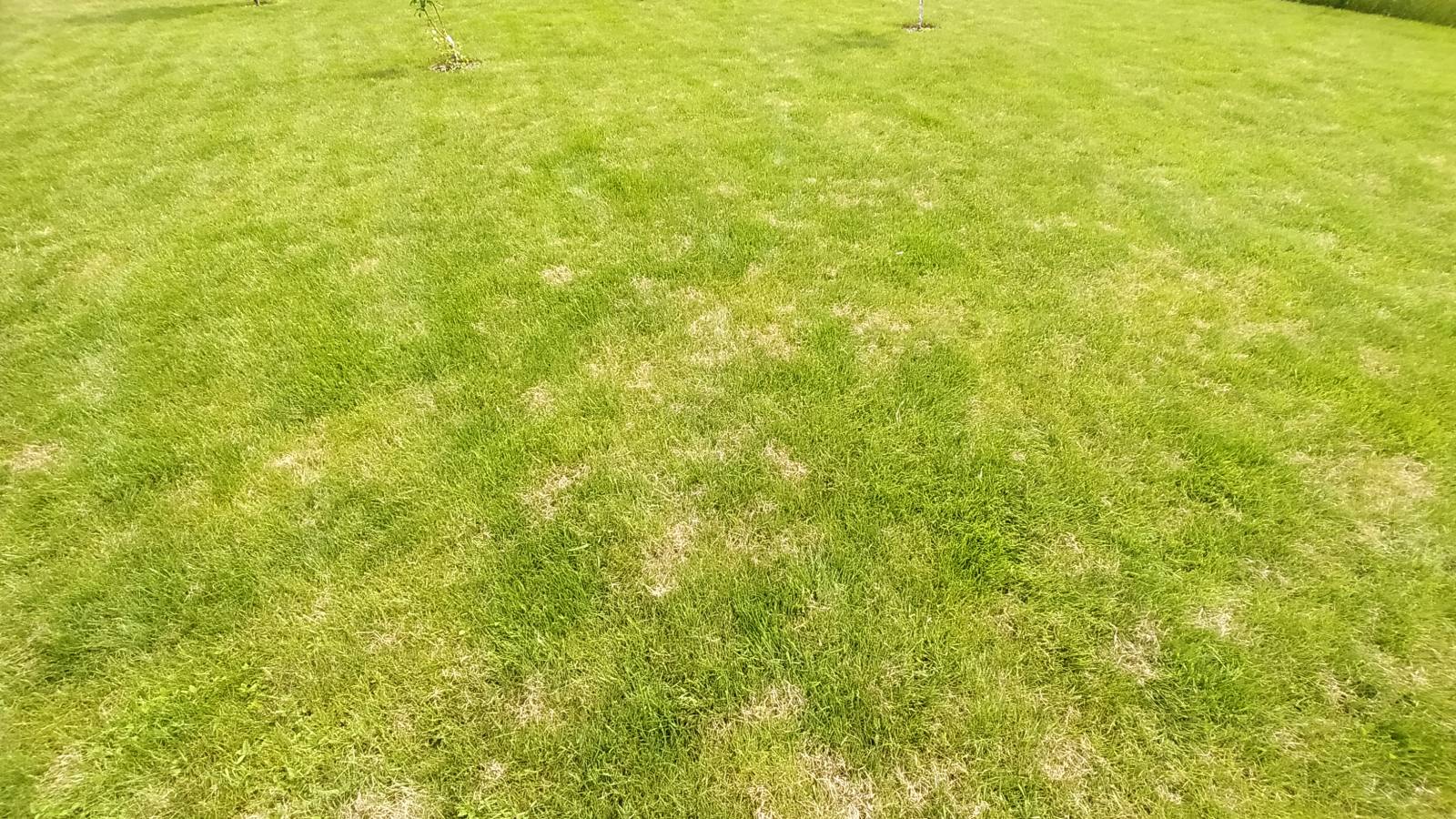 2557971o