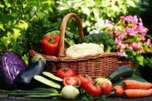 shutterstock_151345019-scaled-e1652720670175-300x199