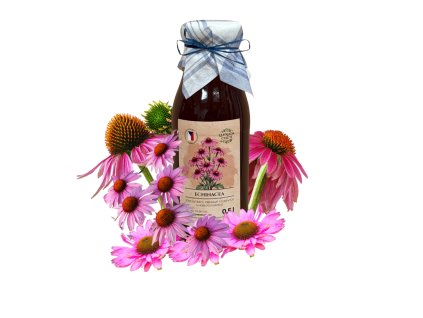 Sirup echinacea - zahradachuti.com