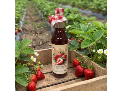 jahoda a máta - zahradachuti.com