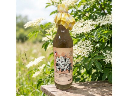 černý bez- zahradachuti.com