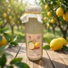 citronový sirup - zahradachuti.com