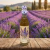 levandule sirup - zahradachuti.com