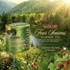 BASILUR Four Seasons Summer Tea plech 100g - zahradachuti.com