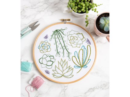 succulents embroidery kit 1