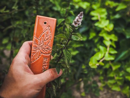 zápich na bylinky máta korál velky kopie