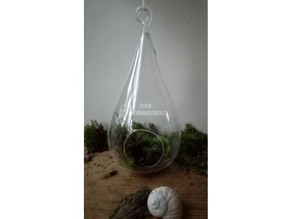 Aerárium na pěstování rostlin KAPKA 20 cm