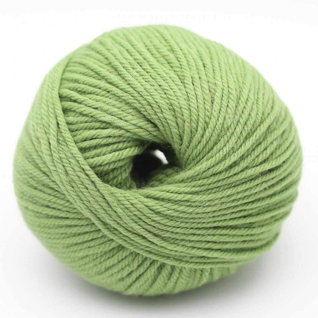 Příze The Merry Merino 110 GOTS vlna Kremke Soul Wool 50 g odstín: Meadow