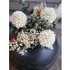 Sušené květy 3 ks Snowball White Chic Antique