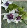 Umělá květina CLEMATIS bílá/purpurová 77 cm