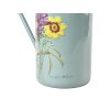 Asteraceae watering can 06