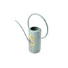 Asteraceae watering can 07