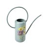 Asteraceae watering can 08
