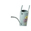 Asteraceae watering can 10