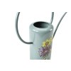 Asteraceae watering can 11