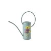 Asteraceae watering can 02