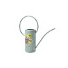 Asteraceae watering can 04