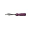 Asteraceae trowel dibber 04