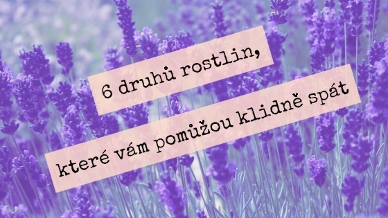 6 druhů rostlin, které vám pomůžou klidně spát