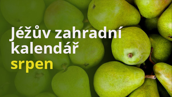 Jéžův zahradní kalendář - srpen