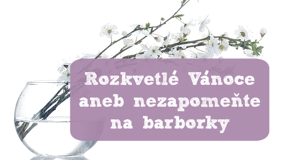 Rozkvetlé Vánoce aneb nezapomeňte na barborky