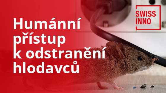 Humánní přístup k odstranění hlodavců