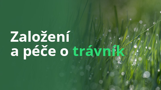 pece-travnik